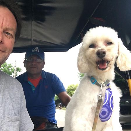 Murph'S Surf Shacks Rivas Eksteriør bilde