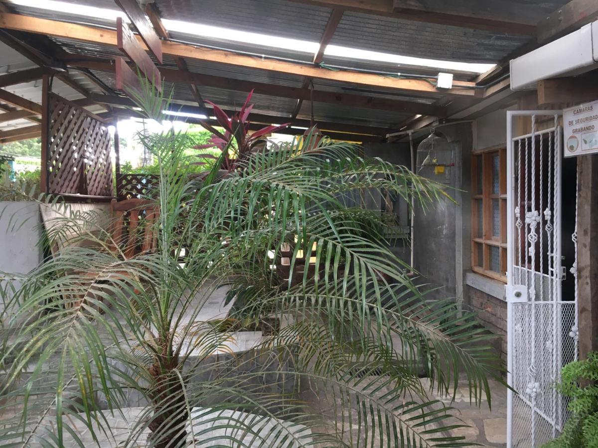 Murph'S Surf Shacks Rivas Eksteriør bilde